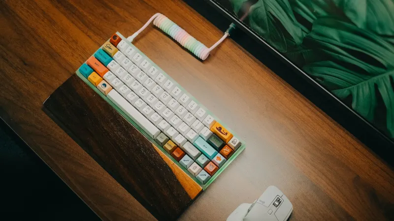 Clicky, Tactile, or Linear: Inside the Cult of People Who've Spent More on a Keyboard Than a Used Car